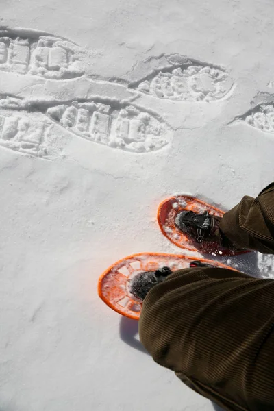 legs of a young man that walks with orange snowshoes in winter