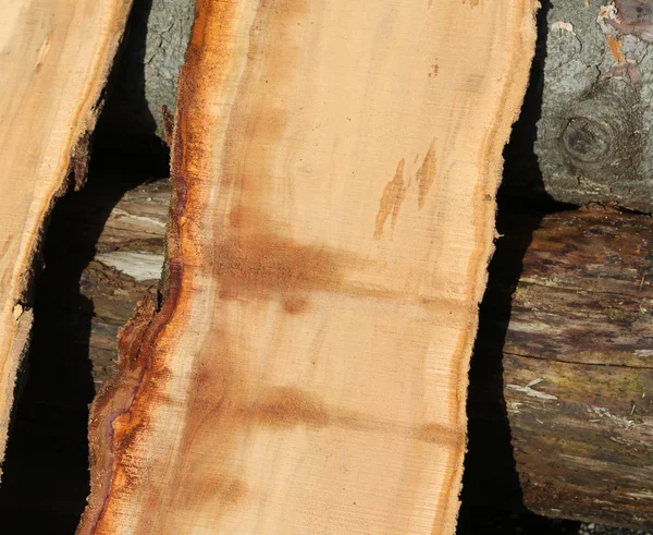 Pedaços de tronco de árvore serrados na serraria — Fotografia de Stock