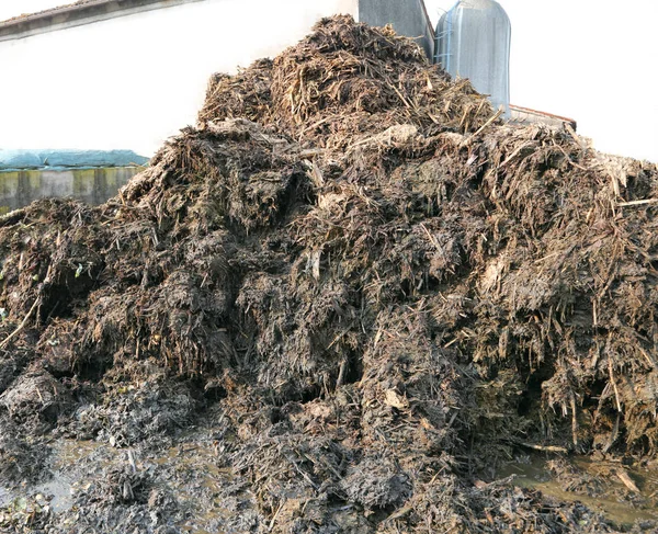 Heap of smelly manure to spread on the field to make it fertile — Stock Photo, Image