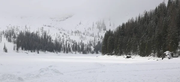 Pragser Wildsee eller sjön Braies eller sjön Prags med snö i söder — Stockfoto