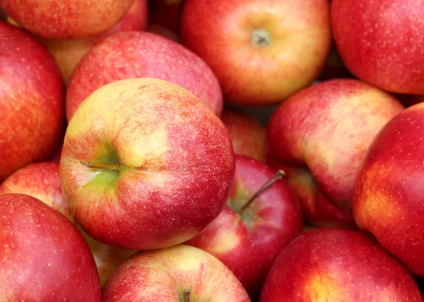 Maçãs maduras vermelhas para venda a partir de greengrocers — Fotografia de Stock