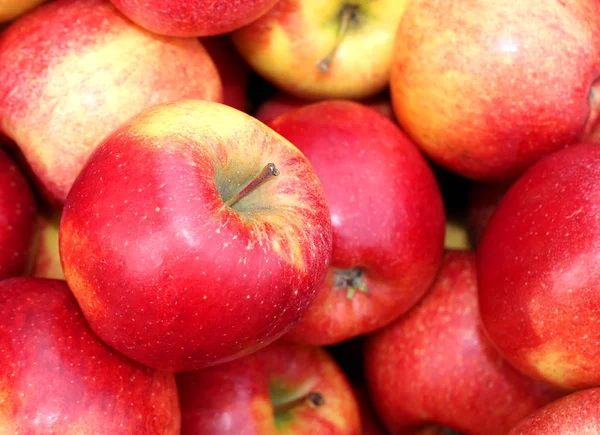 Vermelho grandes maçãs fundo — Fotografia de Stock