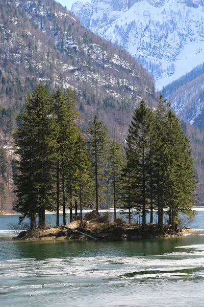 Many tree in the island on the alpine lake — Stock Photo, Image