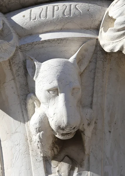 Venezia, 14 luglio 2016: dettaglio di una statua di lupo in un — Foto Stock