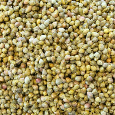 küçük yeşil Kapari arka plan