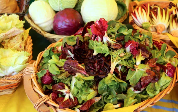 Lechuga y radicchio de cultivo ecológico sin descifrar —  Fotos de Stock