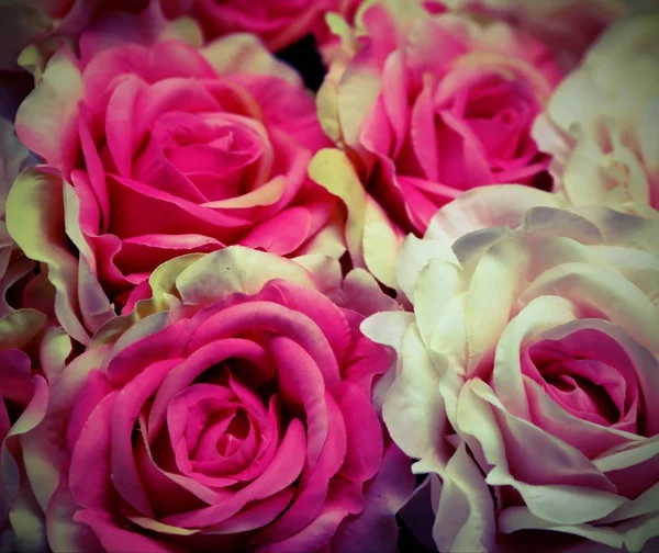 Розовые и белые цветы в корзине — стоковое фото