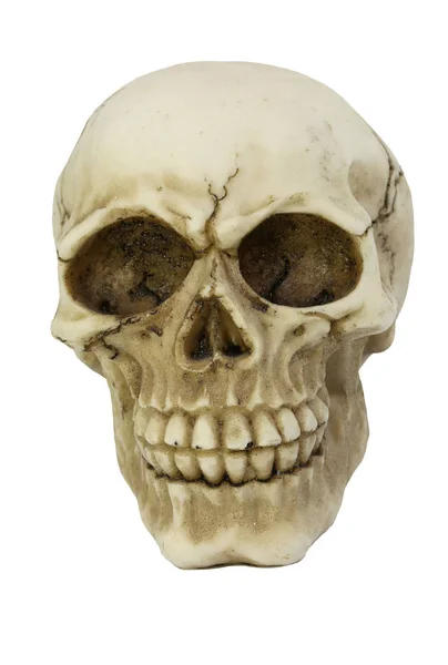 White skull with cracks — Stock Photo, Image