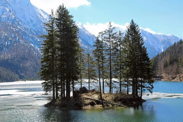 Ostrov s jedlí na alpském jezeře — Stock fotografie