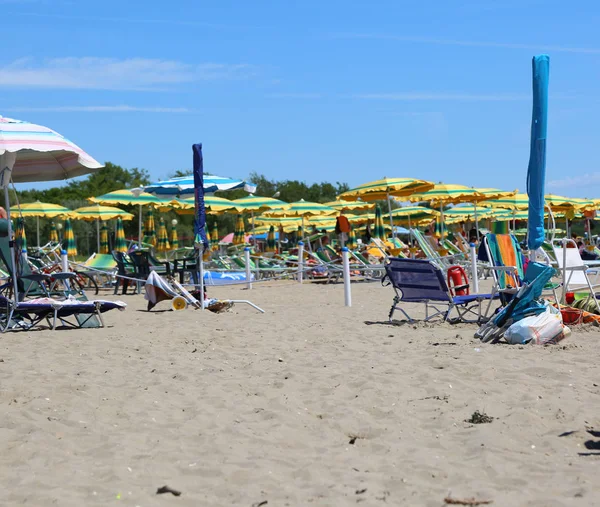 Umbrellas open at the beach — Stock Photo, Image