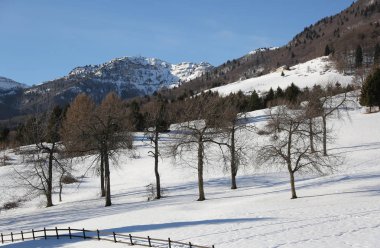Beyaz kar ile Panorama