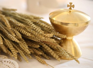 buğday bir sunak üzerinde altın chalice ile kulaklar