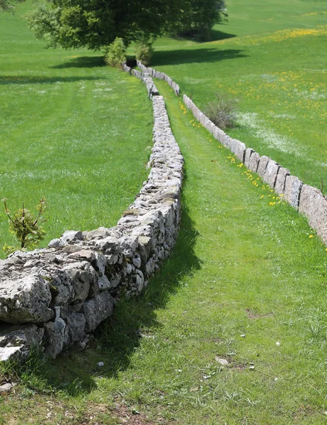 Dağlarda uzun sonsuz yolu — Stok fotoğraf