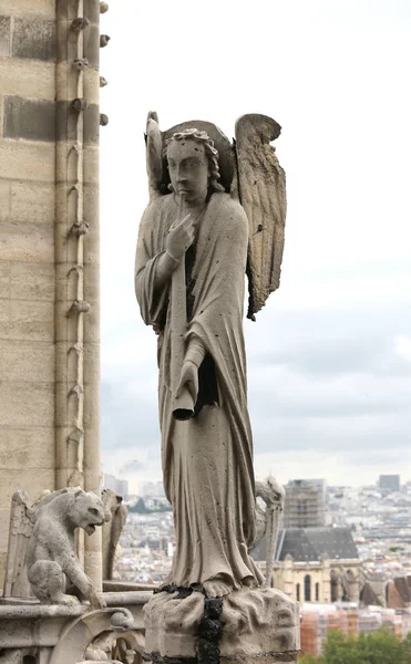 Particolare della statua di Notre Dame de Paris — Foto Stock