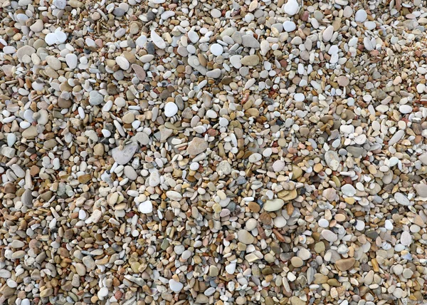 Small pebbles and gravel on the beach — Stock Photo, Image