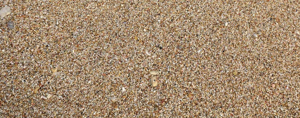 Praia de seixos com pedrinhas pequenas — Fotografia de Stock
