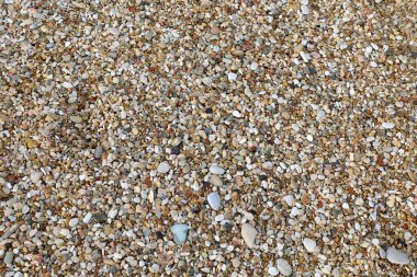 Sahilde çok çakıl taşı var.