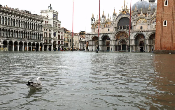 El agua del mar Adriático en la plaza de San Marcos en Venecia con un mar — Foto de Stock