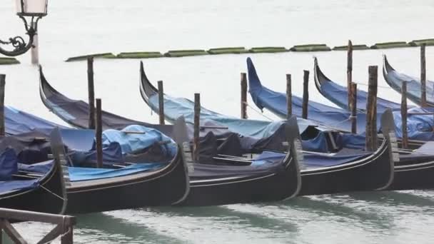 Gondolas Typical Boats Venice Italy — Stock Video