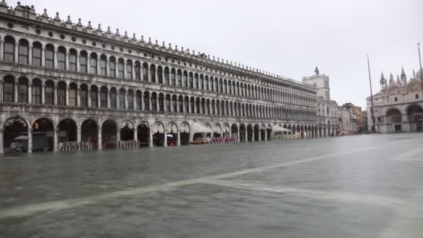 Venedik Adasının Ana Meydanı Ndaki Saint Mark Bazilikası Nda Sel — Stok video