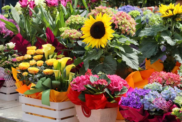 Растения и цветочные композиции для продажи — стоковое фото