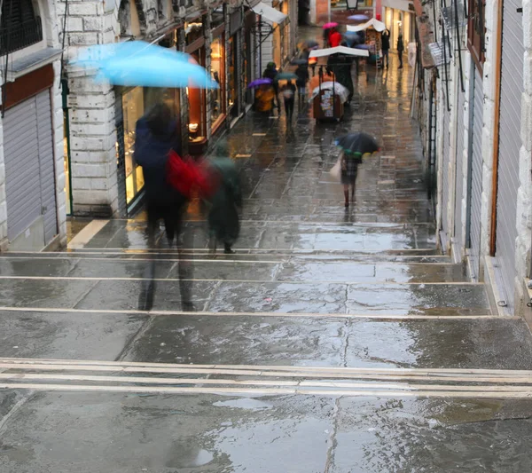 Paraplyer i Rialtobron i Venedig när det regnar — Stockfoto