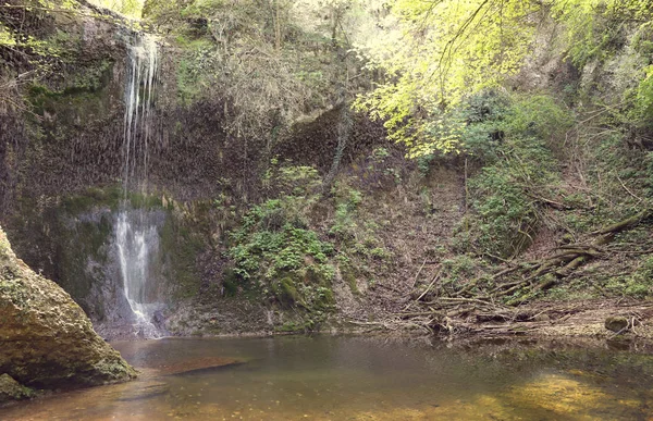 Водоспад у лісі — стокове фото