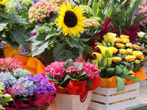 Цветочные растения и цветочные композиции для продажи — стоковое фото