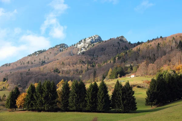 欧洲阿尔卑斯山中叫做Spitz的山 — 图库照片