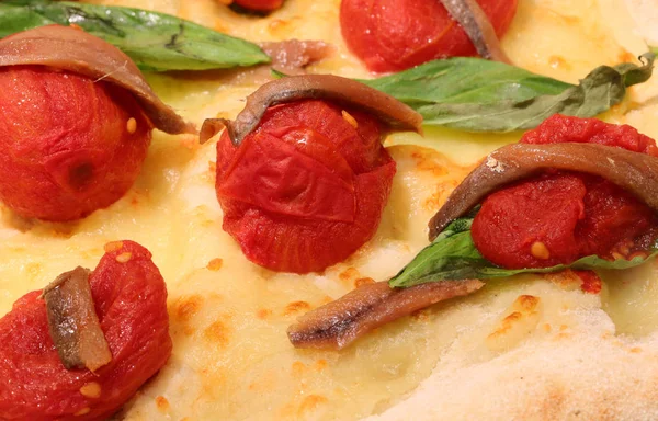 意大利比萨，配上莫扎拉奶酪、红色西红柿和凤尾鱼 — 图库照片