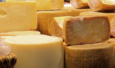 Pecorino Cheese in Italian Language  means cheese of sheep clipart