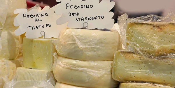 Italiaanse kaas met tekst dat betekent gekruide Pecorino kaas met kaas — Stockfoto
