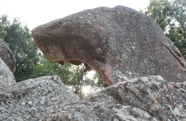 Rock with shape of head dog in France — Stock Photo, Image