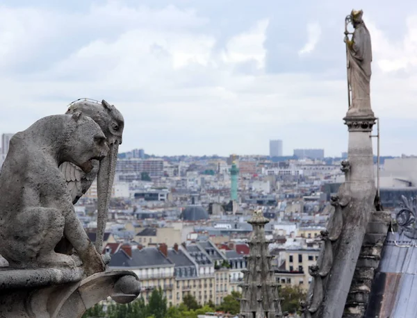 Telhado da catedral de Notre Dame, em Paris, enquanto observa o — Fotografia de Stock
