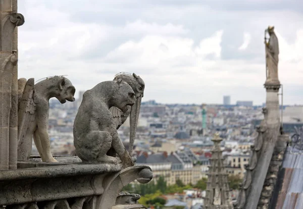Estátua no th Notre Dame na catedral de Paris, enquanto observa a — Fotografia de Stock