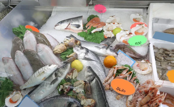 Freshly caught fish for sale at a  fish market stall — 스톡 사진