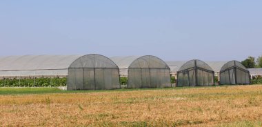 Kırsal kesimde çok geniş seralar var.