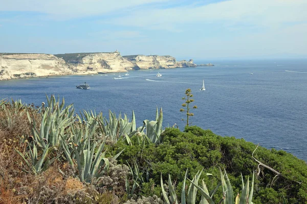 Akdeniz manzarası ve Korsika Adası — Stok fotoğraf