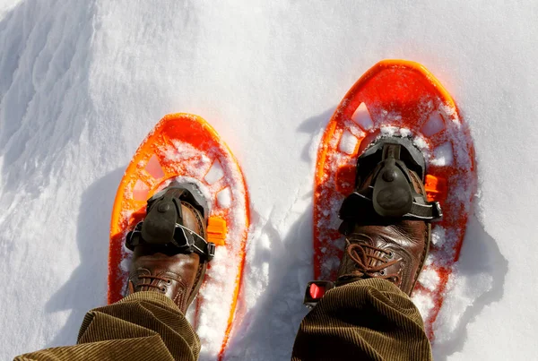 Raquetas de nieve naranja y las piernas del excursionista de alta montaña — Foto de Stock