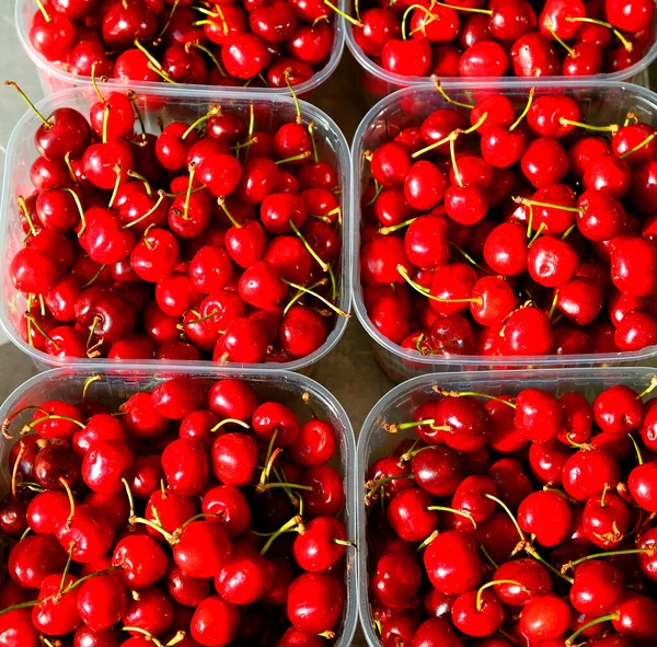 Cherries just picked from trees for sale at the fruit and vegeta — 스톡 사진
