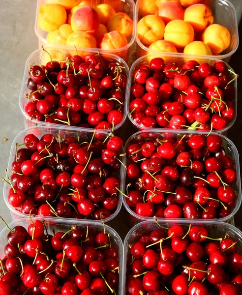 Cerezas y albaricoques anaranjados recién recogidos de los árboles por s — Foto de Stock