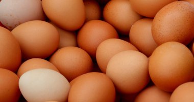 Bir sürü tavuk yumurtası