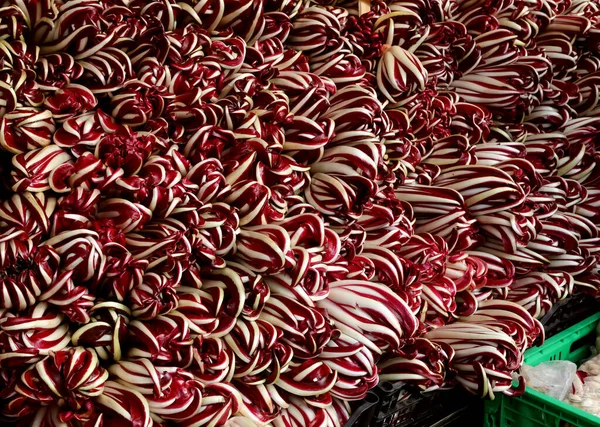 Red Chicory genaamd Radicchio Tardivo in het Italiaans Taal voor sal — Stockfoto