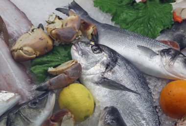 Marketteki balıkçı tezgahında satılık deniz ürünleri ve kabuklu deniz ürünleri.