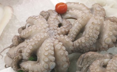 freshly caught octopus and fresh white cuttlefish for sale in the fishmongers shop clipart