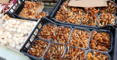 Marketteki markette satılık taze mantar sepetleri.