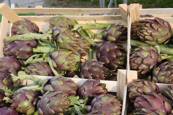 Full Boxes Fresh Big Artichokes Sale Greengrocer Stall Local Market — Stock Photo, Image
