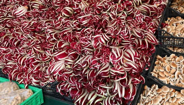 Greengrocer Stall Com Alface Vermelha Chamada Radicchio Tardivo Língua Italiana — Fotografia de Stock