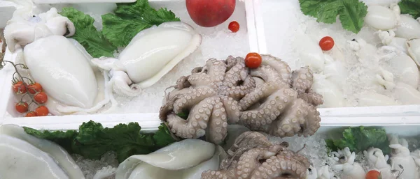 Frisch Gefangener Oktopus Und Frischer Weißer Tintenfisch Zum Verkauf Geschäft — Stockfoto
