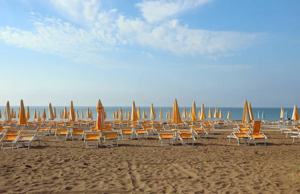 Sunny Many Closed Umbrellas Deck Chairs Blue Sky Early Morning — Φωτογραφία Αρχείου